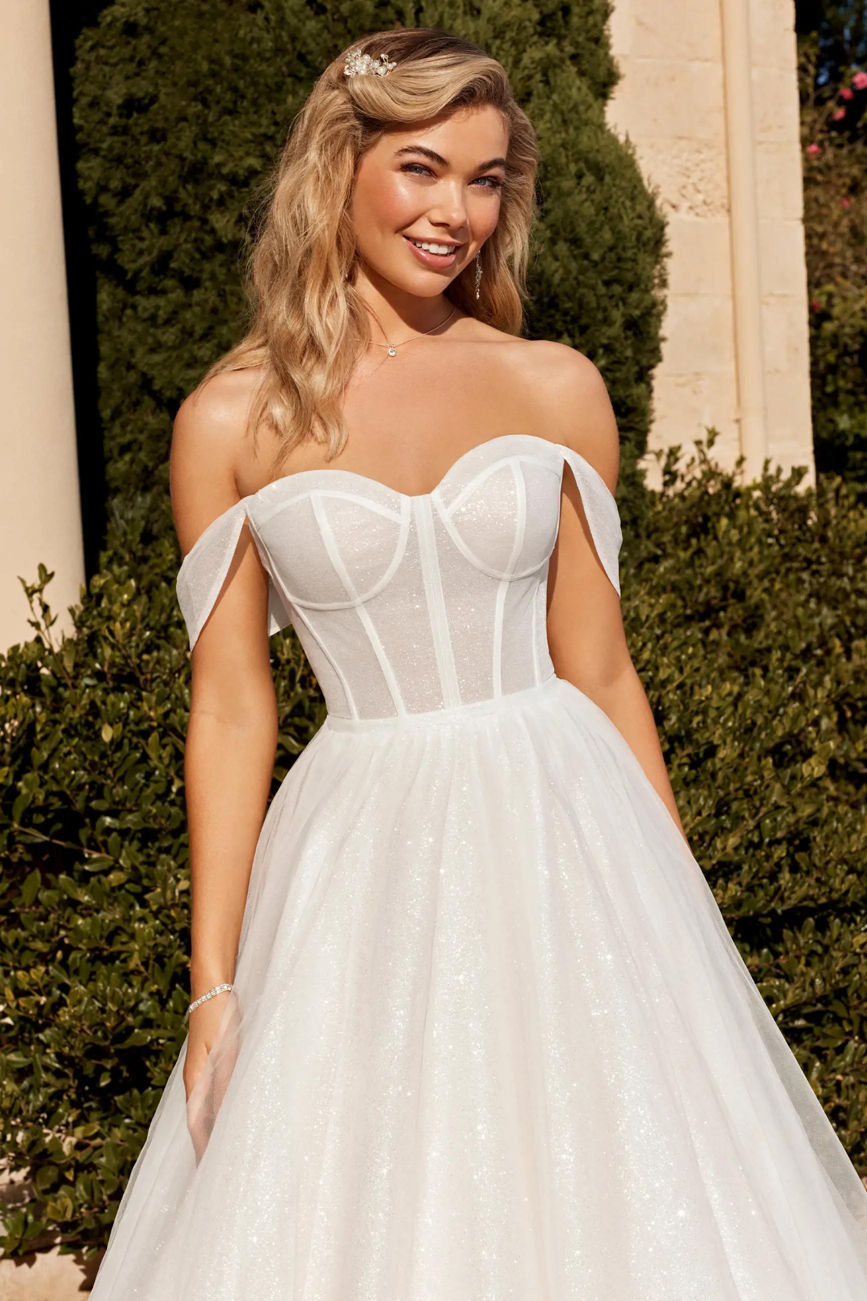 Ball Gown Wedding Dress with Corset Back Lazaris $1 autoplay loop mute thumbnail