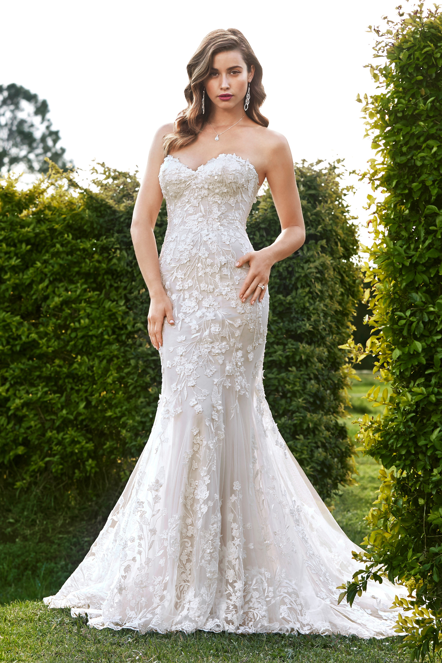 sophia tolli kaia price