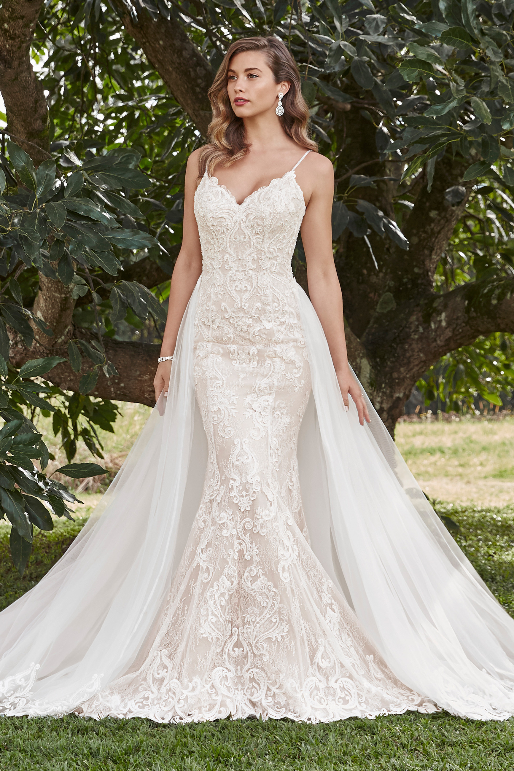 sophia tolli kaia price