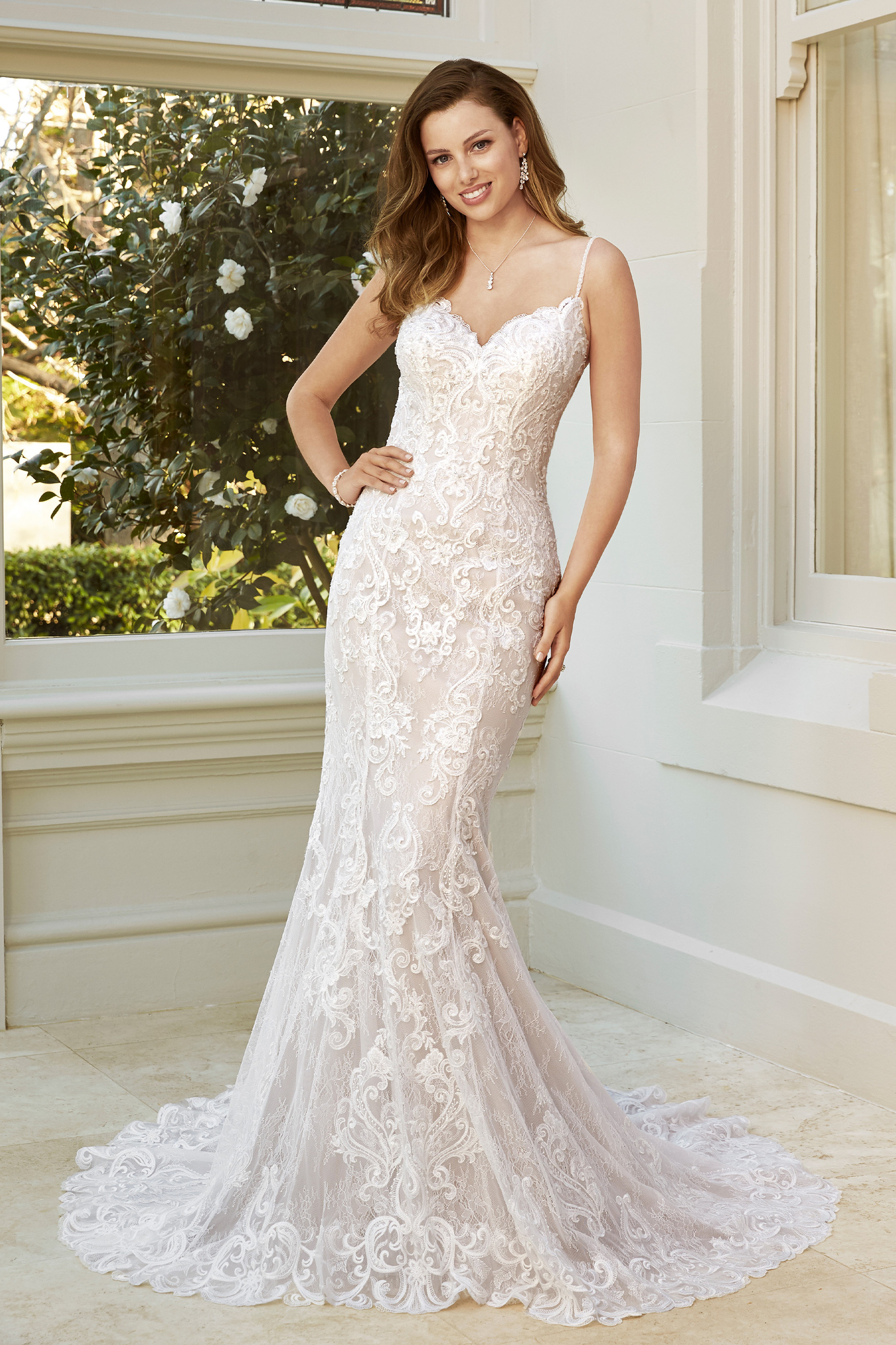 sophia tolli kaia price