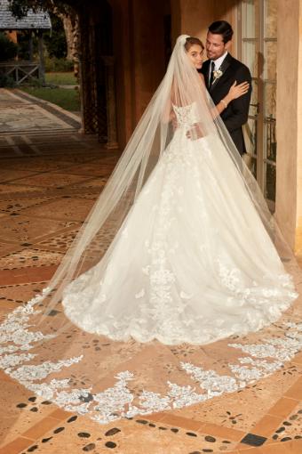 Modern Princess Ballgown with Whimsical Lace Alessandra $6 thumbnail