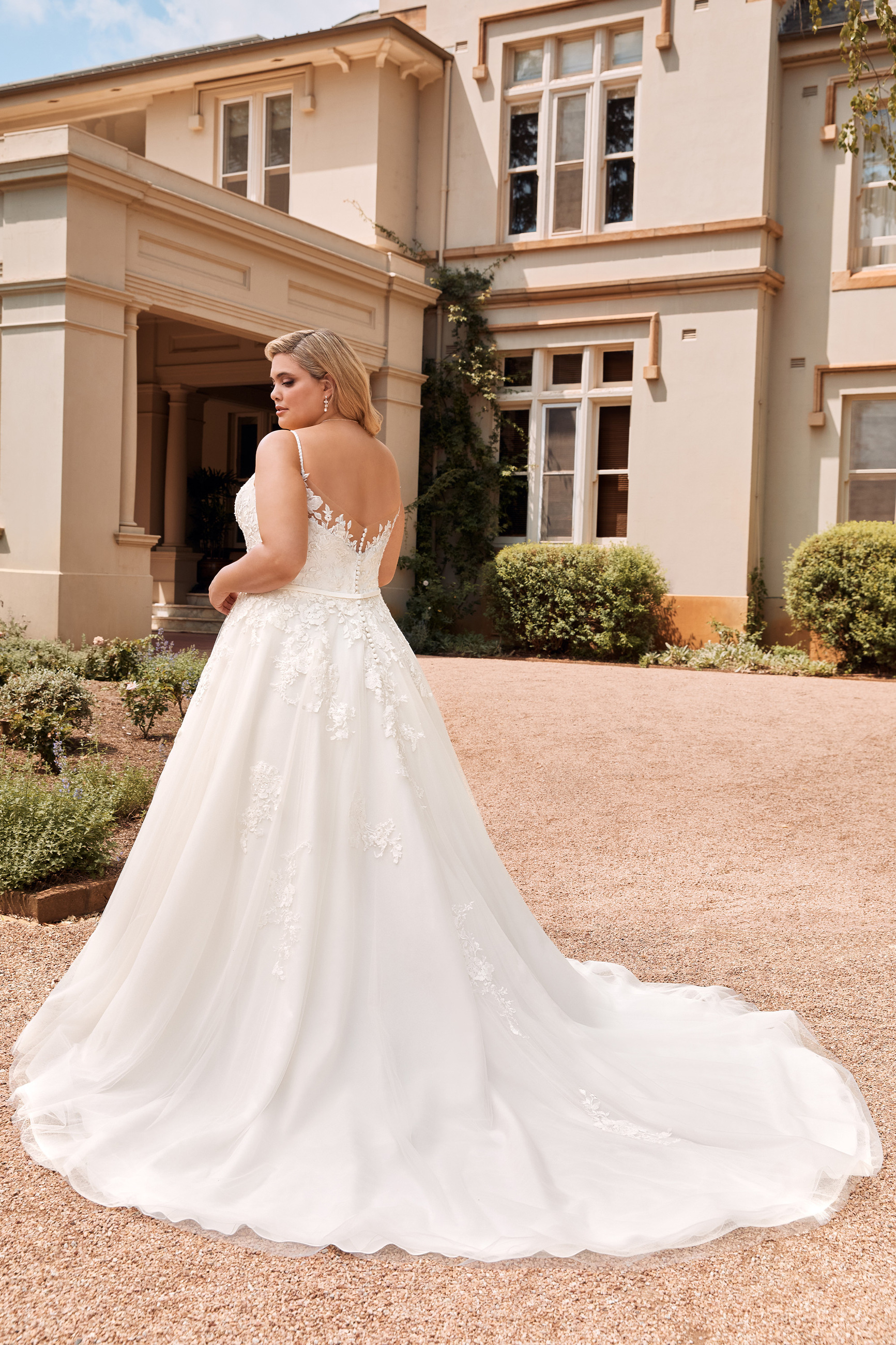 sophia tolli aurora