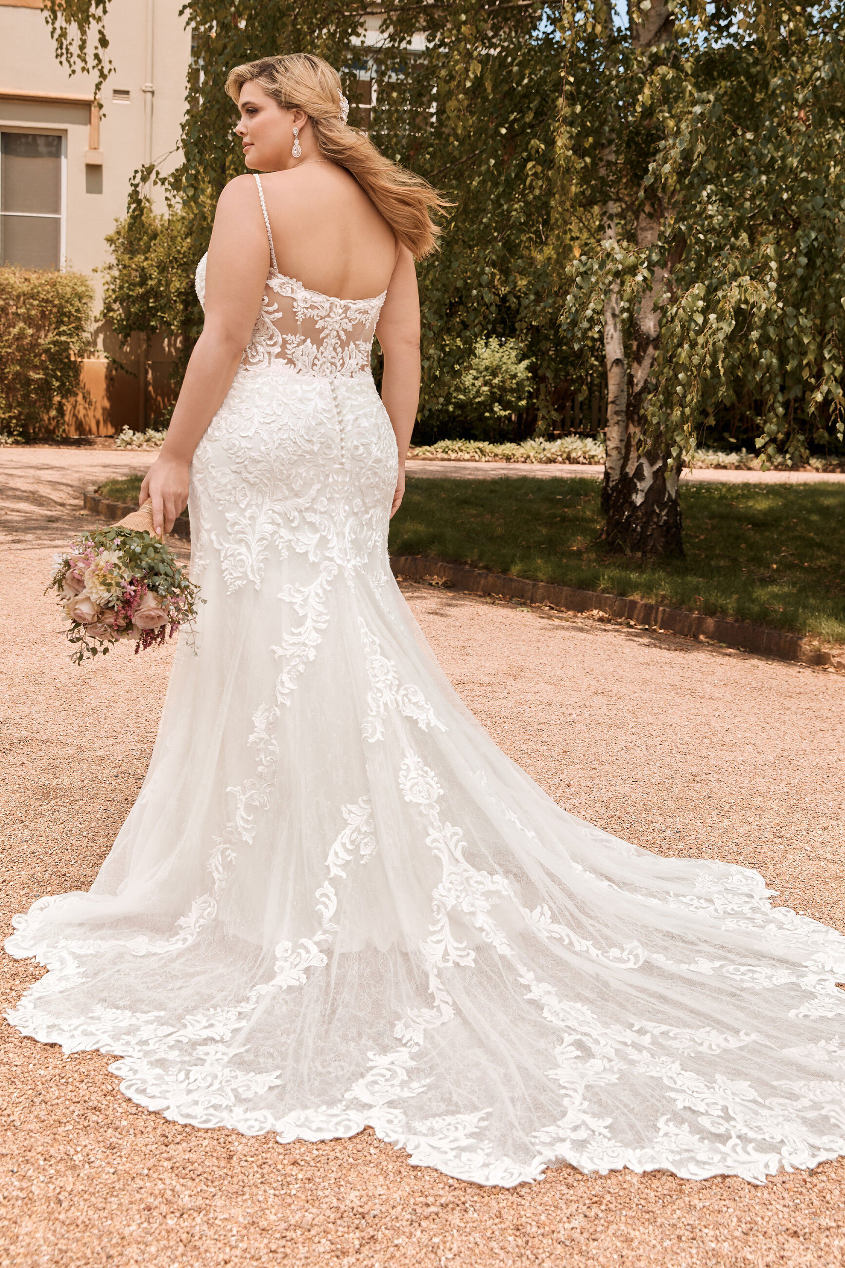 sophia tolli y22042