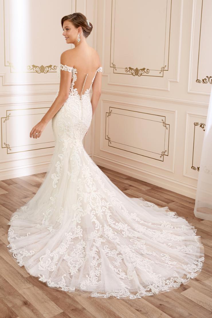 Elegant Wedding Dress with Sexy Illusion Back Leilani #$1 picture