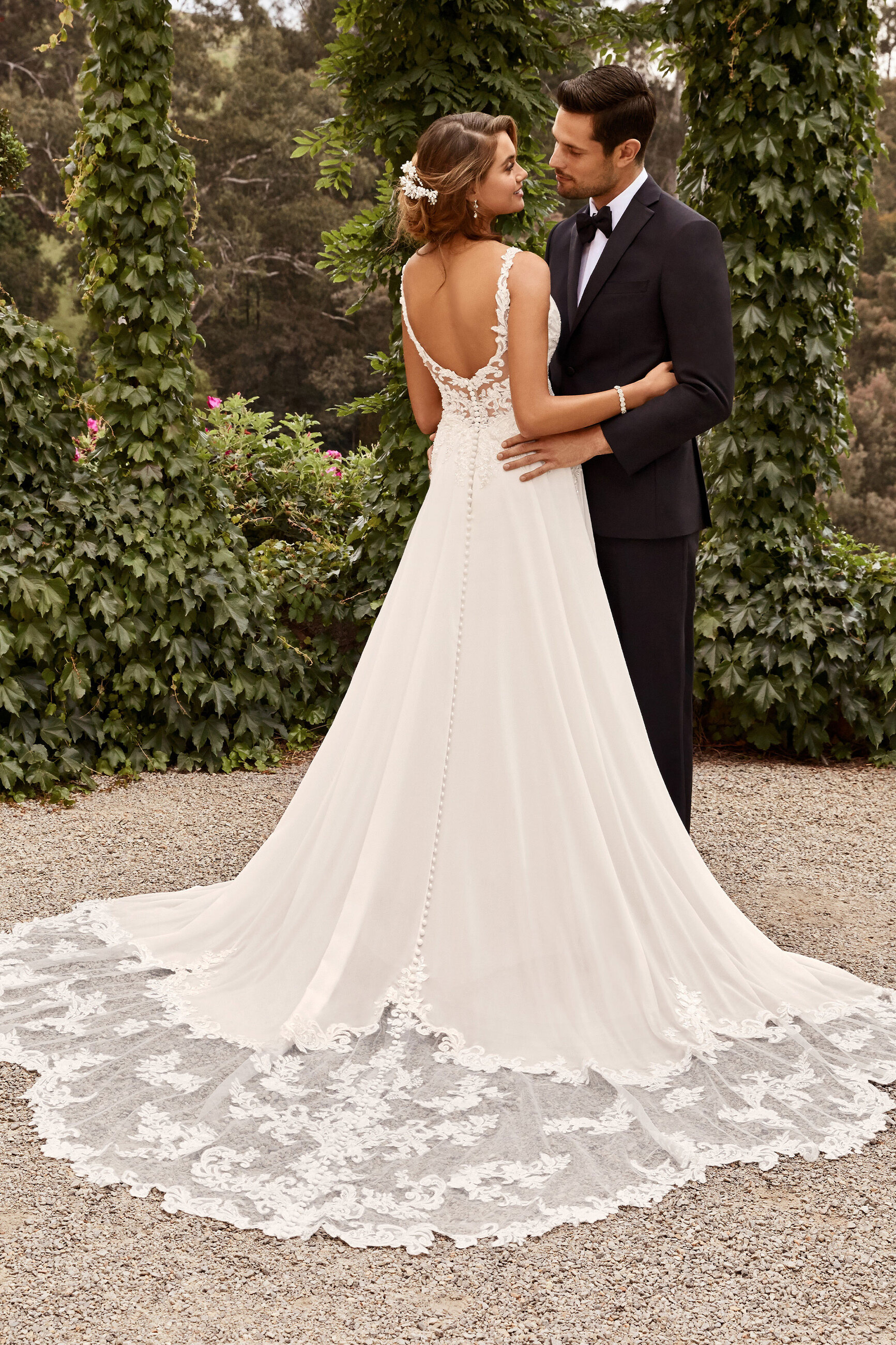 sophia tolli aurora