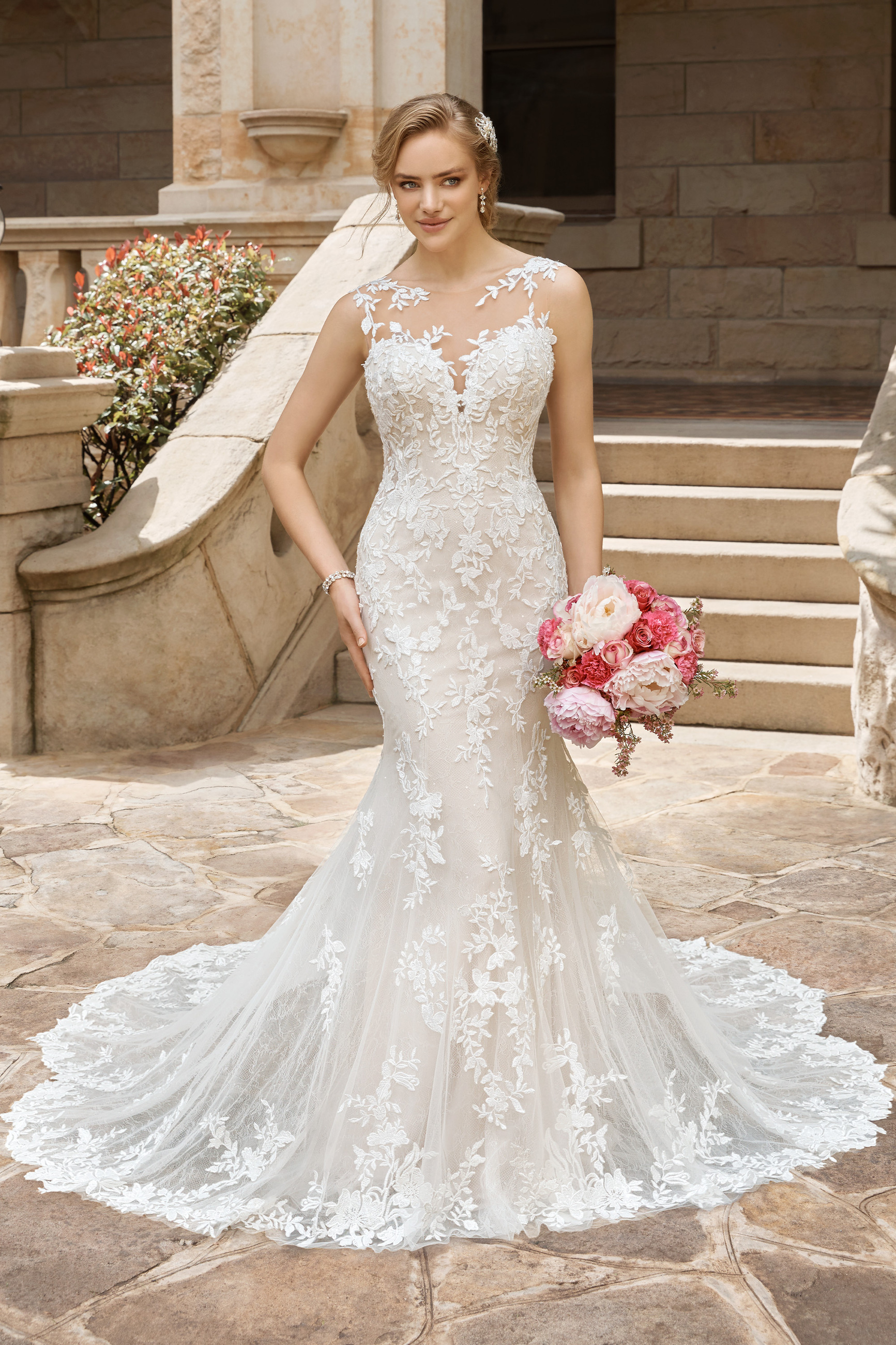 sophia tolli